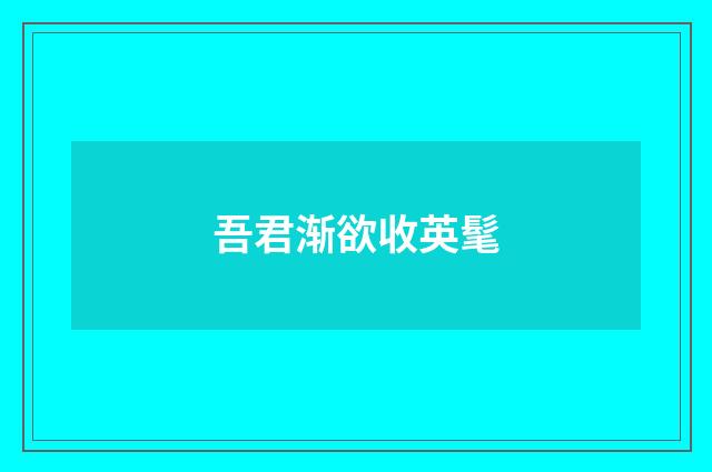 吾君渐欲收英髦
