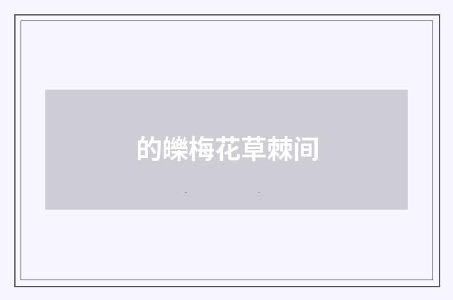 的皪梅花草棘间