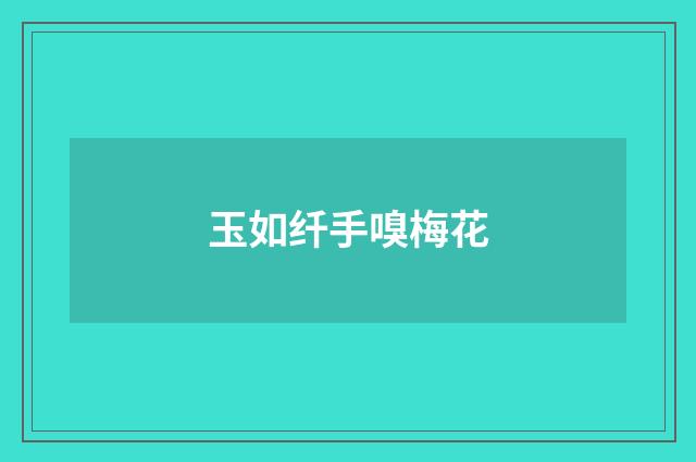 玉如纤手嗅梅花