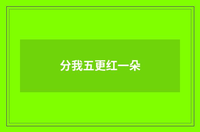 分我五更红一朵