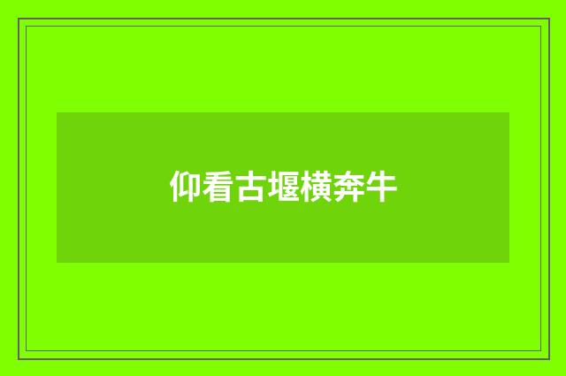 仰看古堰横奔牛