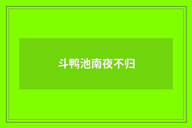 斗鸭池南夜不归