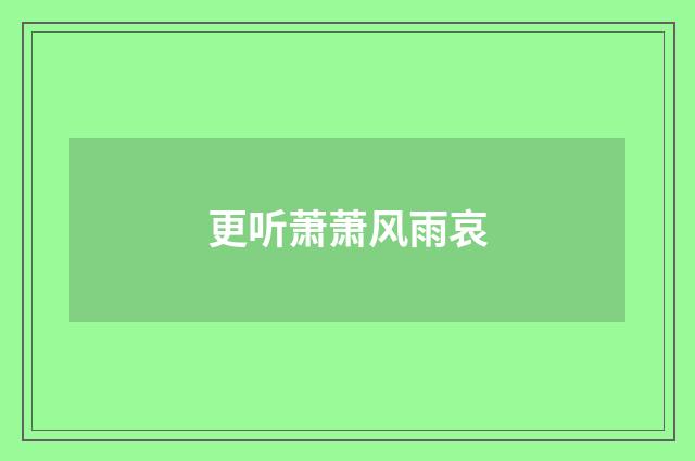 更听萧萧风雨哀