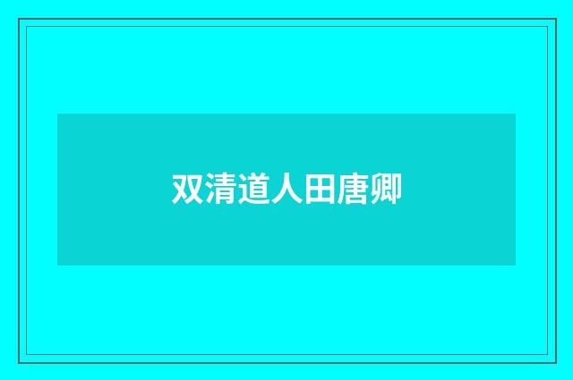 双清道人田唐卿