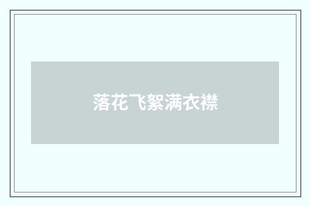 落花飞絮满衣襟