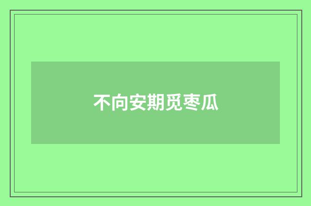 不向安期觅枣瓜