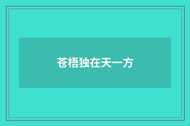 苍梧独在天一方