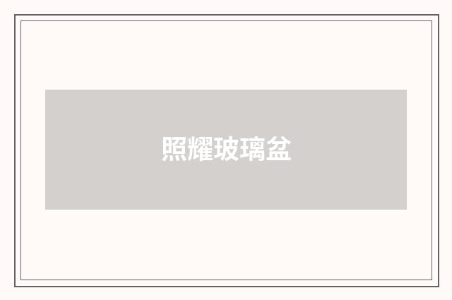 照耀玻璃盆