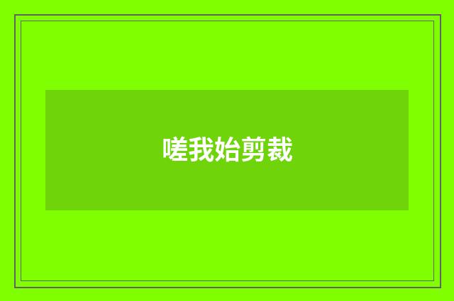嗟我始剪裁