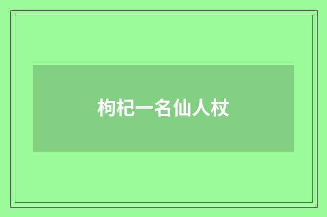 枸杞一名仙人杖