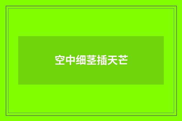空中细茎插天芒