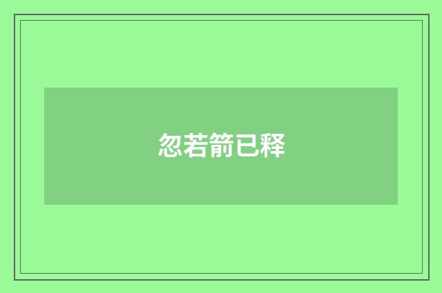 忽若箭已释