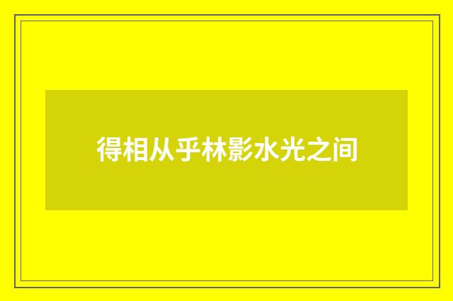 得相从乎林影水光之间