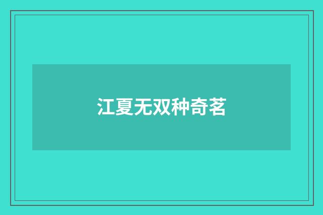 江夏无双种奇茗