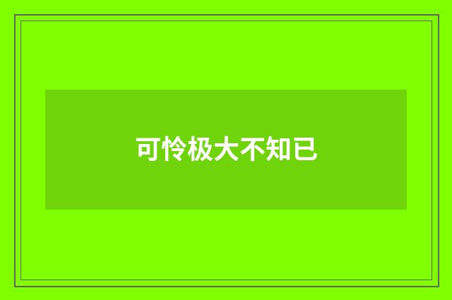 可怜极大不知已