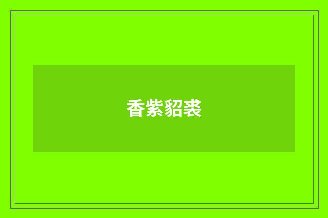 香紫貂裘