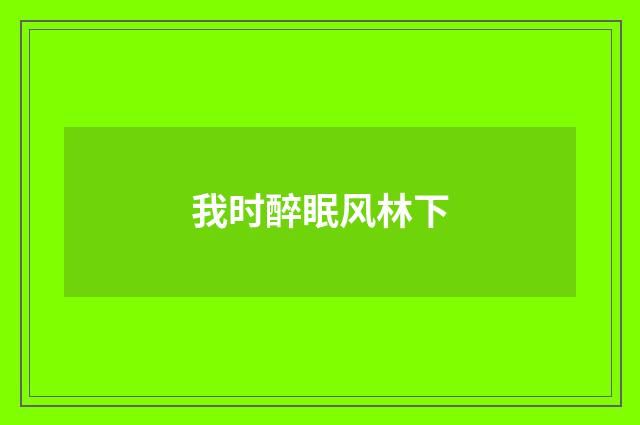 我时醉眠风林下
