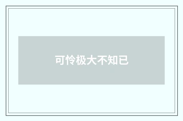 可怜极大不知已