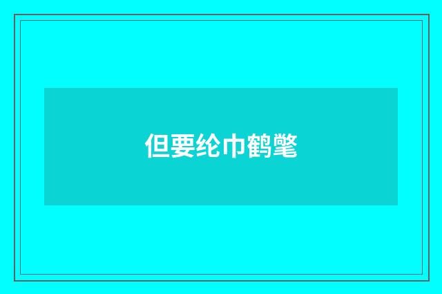 但要纶巾鹤氅
