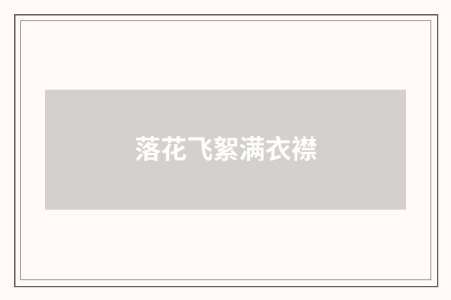 落花飞絮满衣襟