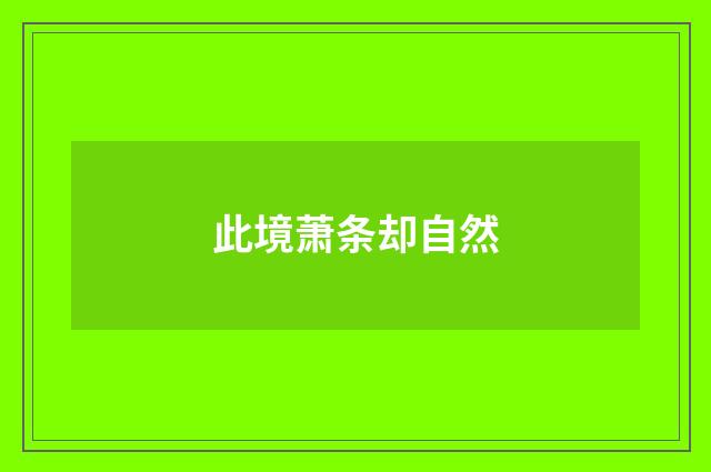 此境萧条却自然