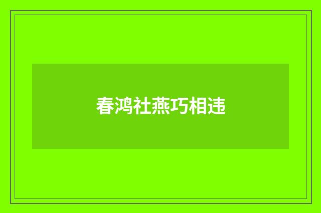 春鸿社燕巧相违