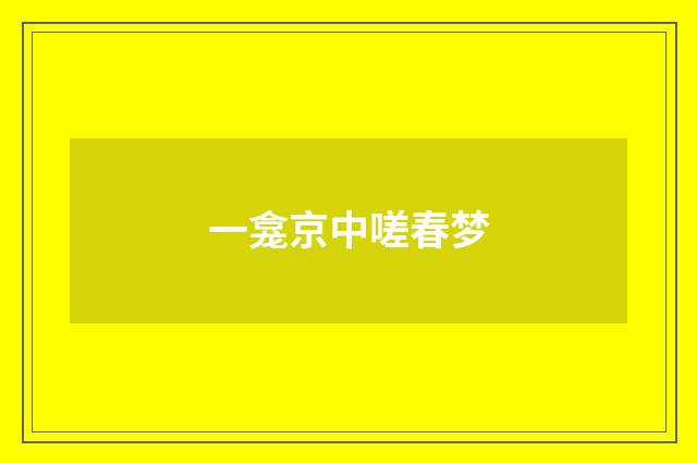 一龛京中嗟春梦