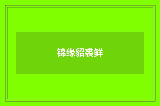 锦缘貂裘鲜