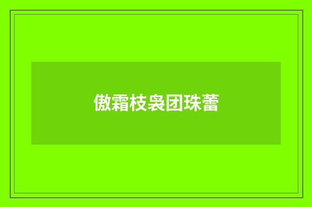 傲霜枝袅团珠蕾