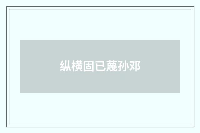 纵横固已蔑孙邓
