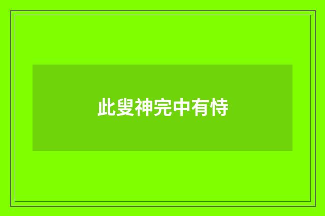 此叟神完中有恃