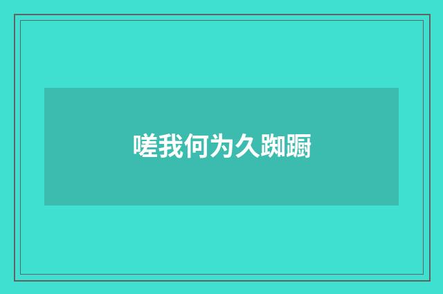 嗟我何为久踟蹰