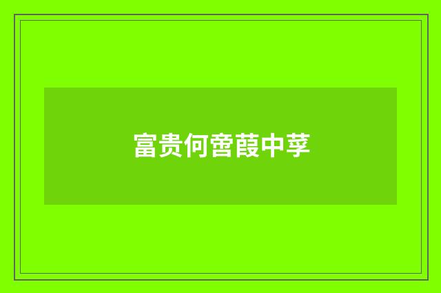 富贵何啻葭中莩