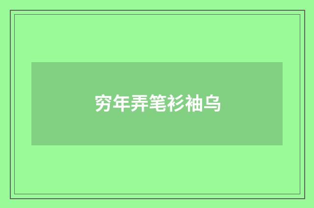 穷年弄笔衫袖乌