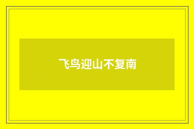 飞鸟迎山不复南