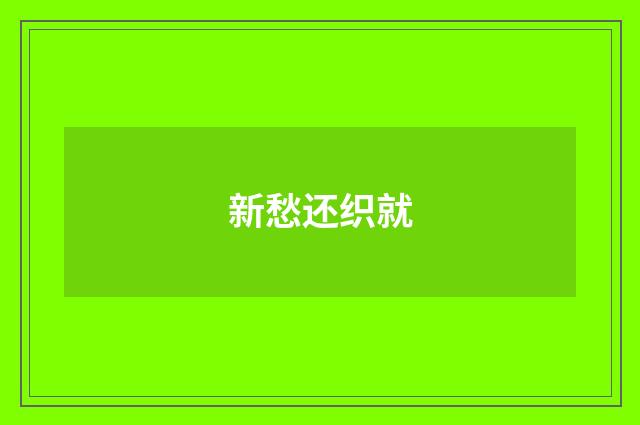 新愁还织就