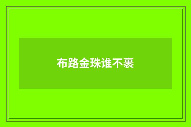布路金珠谁不裹