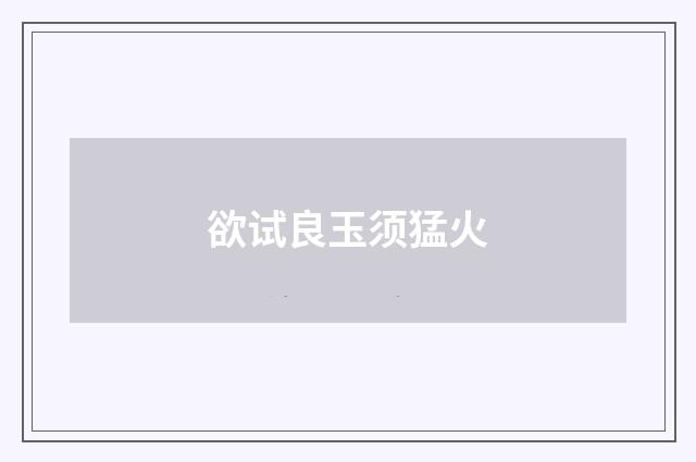 欲试良玉须猛火
