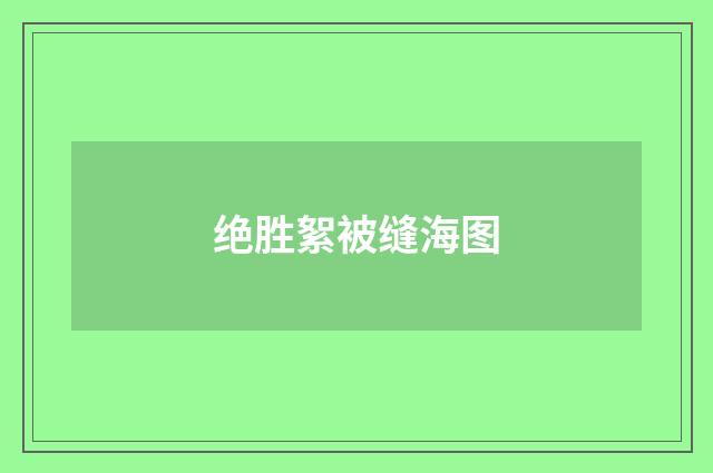 绝胜絮被缝海图