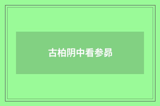 古柏阴中看参昴