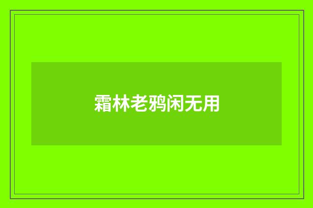 霜林老鸦闲无用