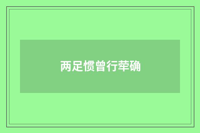 两足惯曾行荦确