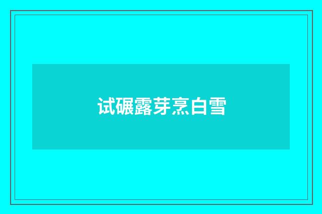 试碾露芽烹白雪