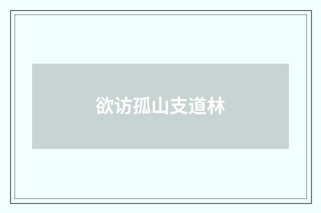 欲访孤山支道林