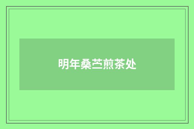 明年桑苎煎茶处