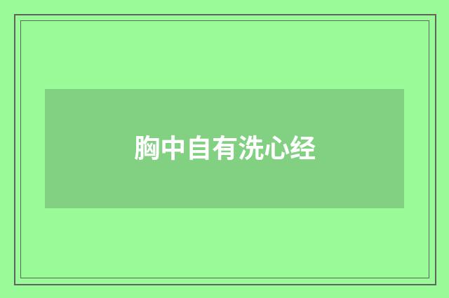 胸中自有洗心经