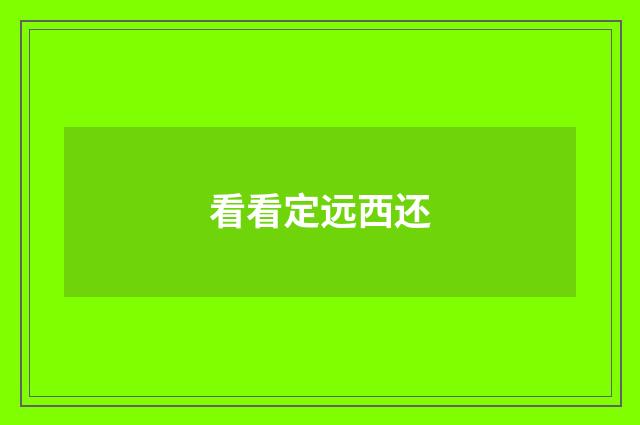 看看定远西还