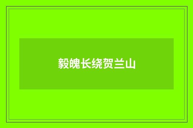 毅魄长绕贺兰山