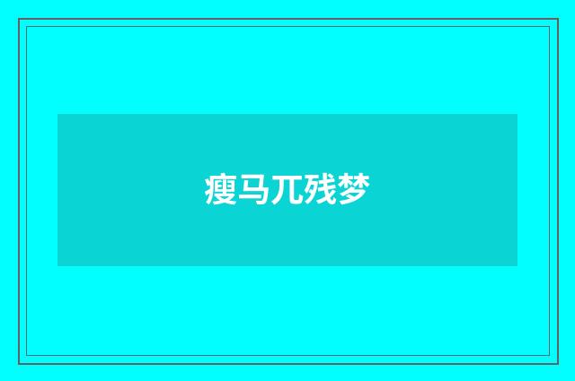瘦马兀残梦