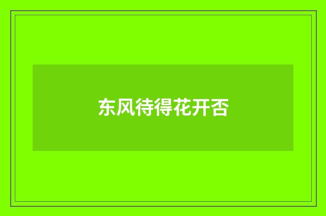 东风待得花开否
